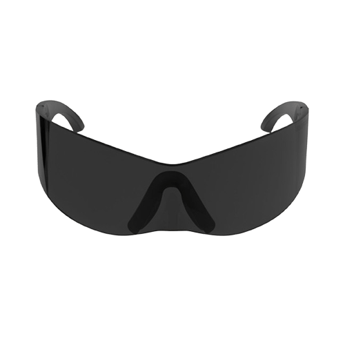 Balenciaga  Panther Mask Sunglasses in Black
