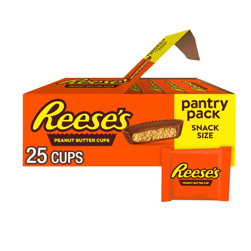 REESE'S Milk Chocolate Snack Size Peanut Butter Cups 13.75 oz (25 Pieces)